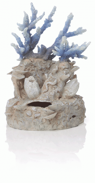 Oase biOrb Korallenriff Ornament blau